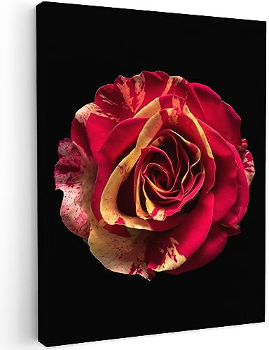 MuchoWow© Quadri Moderni Soggiorno su Tela Quadro 60x80 cm Canvas Foto Dipinti Camera da Letto Decorazioni Pareti Fiore - Rosa - Rosso - Nero