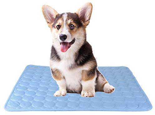 SAFLYSE Haustier-Matte Kühlkissen für Katzen und Hunde CoolCore/Nicht Giftig/Blau (S)