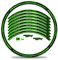 Finest Folia 16-teiliges Set Felgenrandaufkleber Sticker für Fahrrad Felgen Streifen Stripes Design Komplett Set für 27 29 für Ebike Rennrad Mountainbike MTB RX038 (Neon Grün Glanz)