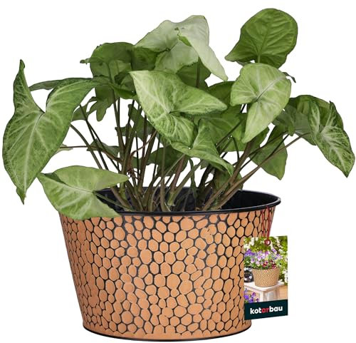 KOTARBAU® Pot Métal Rond Noir Avec Tacheté ⌀ 16 x 12 Cm | Pot De Fleurs En Acier | Pot De Fleurs Décoratif Pour Fleurs Et Herbes Aromatiques | Pot De Fleur Métal | Cache-Pot Fleurs | Cache-Pot Métal