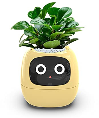 Intelligent Flower Pots, AI Planter, Interactive Flower Pot, Pet Planter, Assistant for the Care of Plants, Multiple Expressions, 7 Sensors, LCD Screen, Mobile Phone App Connection (Yellow)