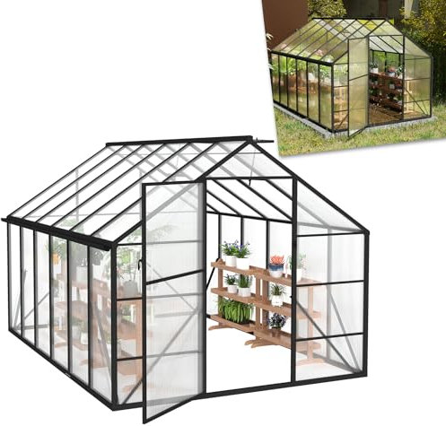 ACXIN Gewächshaus für Garten, Aluminium Treibhaus, Tomatenhaus & Pflanzenhaus mit Fundament, Dachfenster, PC-Platten, Bodenanker, Eisenverstärkung, 380x250x205cm Frühbeet, Wetterfest & UV-beständig