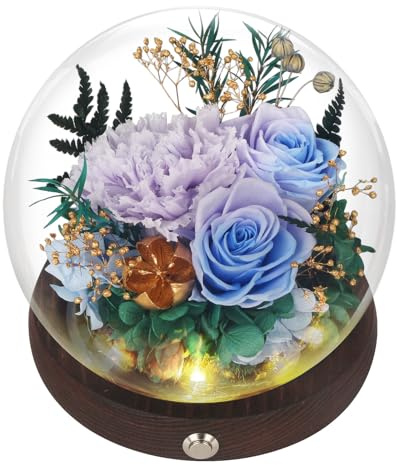 Cadeaux pour maman, fleurs préservées violettes avec œillets et roses dans un dôme en verre, globe à roses éternelles avec boîte cadeau, cadeaux d'anniversaire pour femme, épouse, décoration