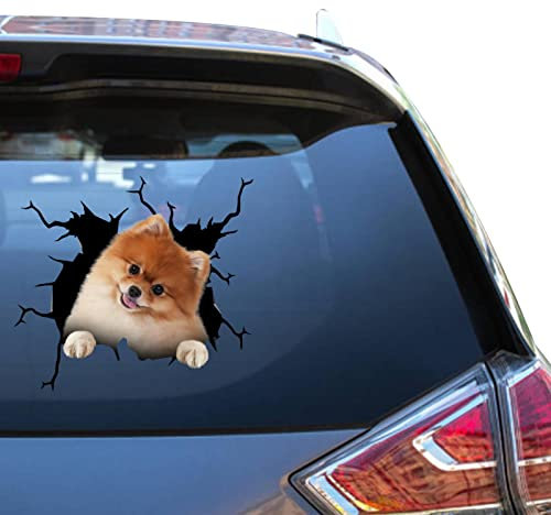 Pomeranian Stickers Decals Pomeranian Dog Gifts Funny Warning Car Sticker for New Driver 3D Trucking Aufkleber
