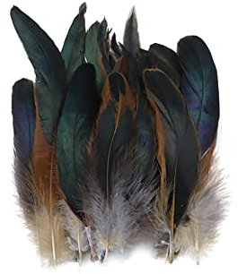 BYNYXI 100 Stück Fasanenfeder, 14cm-20cm Hahnfeder Natürliche Vogelfeder für DIY Deko, Basteln, Zuhause Dekor