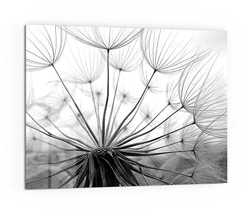 DEQORI Küchenrückwand Glas | Motiv Pusteblume Nahaufnahme | 80x60 cm | Bad- oder Herd-Rückwand | Herdblende Spritzschutz für Küche & Badezimmer | moderne Deko für Fliesenspiegel