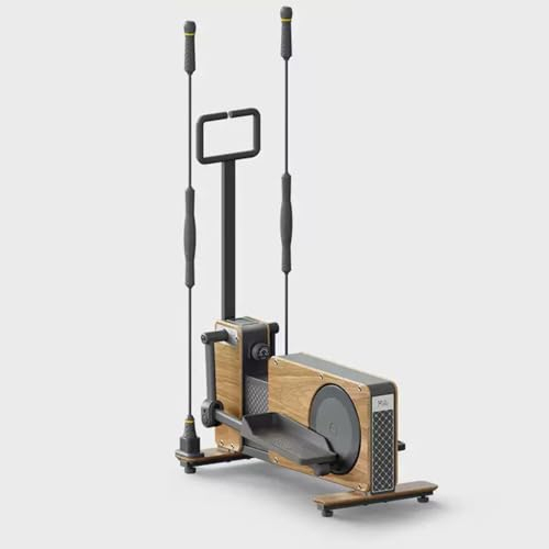 ASSYA Haushalt Elliptische Stepper Walking Machine Sitzende Pedal Exerciser Acht-Stufen-Widerstandseinstellung, leiser Betrieb, nimmt keinen Platz EIN,C