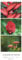 Colours of Nature - Triplets - Kalender 2025 - Hochformat - Alpha Edition-Verlag - Vertikal-Kalender - 25 cm x 69 cm