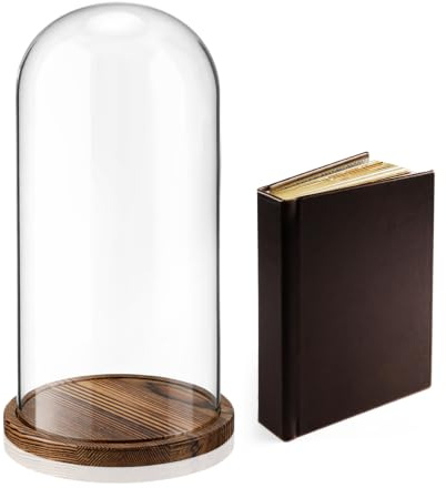AceOrbit Campana a cupola in vetro trasparente con base in legno, cupola alta in vetro trasparente, per piante, curiosità, ricordi, cimeli (22 x 40 cm)