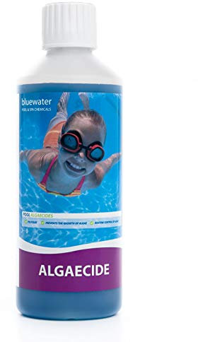 Bluewater 500ml Algaecide - Swimming Pool Chemicals