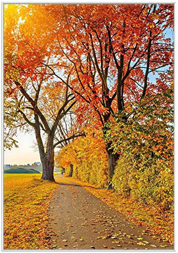 Wallario Wandbild - Herbstlicher Waldweg mit Buntem Laub in Premiumqualität, Poster mit weißem Rahmen, Größe: 70 x 100 cm
