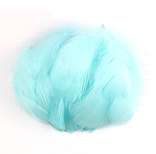 100 Stück Bunte Feder zum Basteln Naturfedern Gänsefedern Indianer Bastelfedern für DIY Kunstwerk Masken Hüte Ohrringe Haarschmucken Traumfänger Hochzeit Karneval Party Dekoration,7-12cm Baby blau