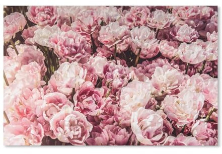 Puzzle Adulte 1000 Pièces,Fleur de Pivoine Rose,Puzzle en Papier, Puzzle De Jouet De Jeu De Loisirs(52x38cm)-C47