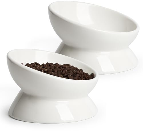 YauYik Cat Bowls Elevated, Raised Cat Food Bowls for Indoor Cats, Puppy, Ceramic Tilted Kitty Dish, 6 Inch Whisker Friendly Anti Vomit Pet Feeding Station, Dishwasher Safe (White, 2 Pack)
