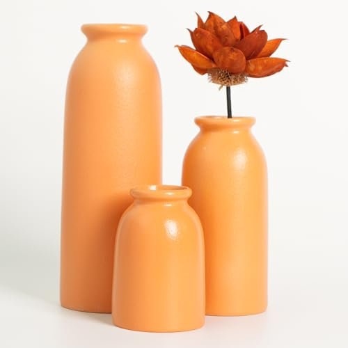Set di 3 piccoli vasi in ceramica per la decorazione della casa e centrotavola, vasi da fiori rustici in stile rustico, mini decorativi (arancione)