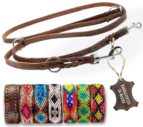 ALTEZAR Handgemachte Hundeleine Leder – Handgefertigt für mittelgroße und kleine Hunde Robuste Fettlederleine mit Verstellbare Lederleine für Hund klein und mittelgroß – dünne Leder-Leine Braun