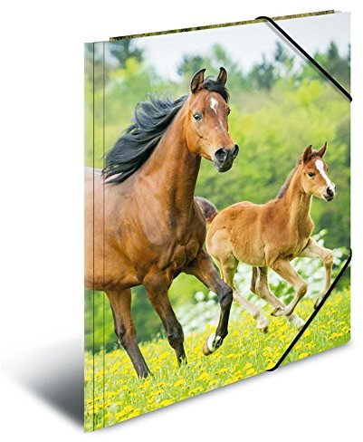 Herma 7145 Sammelmappe A3 PP - Pferde, 5 Stück