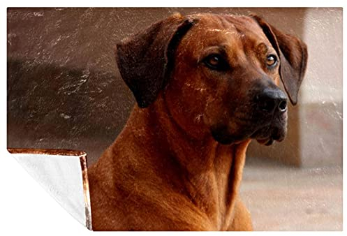BestIdeas Rhodesian Ridgeback Hundedecke, weich, warm, gemütlich, Überwurf für Bett, Couch, Sofa, Picknick, Camping, Strand, 150 x 200 cm