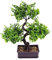 TOPBATHY Kunstpflanzen Groß Simulation Blumentopf Ornamente Home Desktop Simulation Bonsai Ornamente Gefälschte Blumenornamente Bonsai Statue Dekoration Für Home Office Bonsai Baum