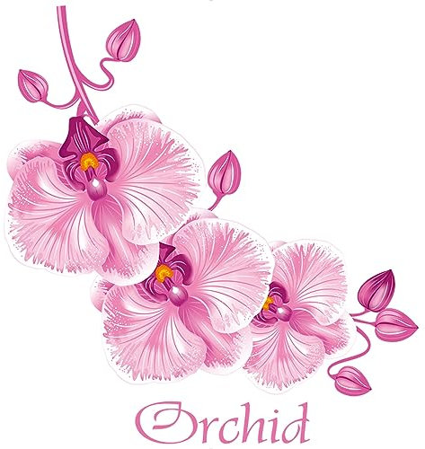 Fensterfolie Blickdicht 58x60cm Orchidee Sichtschutzfolie Fenster Selbsthaftend,Milchglasfolie Anti-Uv,Folie Fenster Sichtschutz,Fenster Folie Blickschutz,Blickdichte Fensterfolie