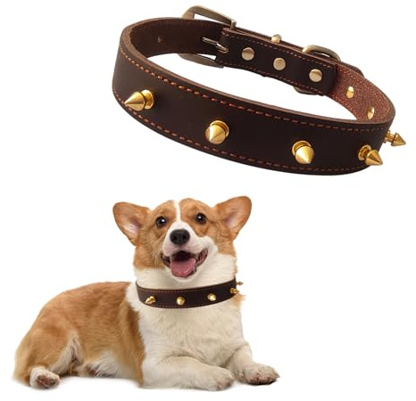 Qianruida Collar de Cuero para Perro con Remaches, Collar con Pinchos para Perros y Gatos, Ajustable antimordeduras para tamaño Mediano, Pit-Bull, Bulldog inglés - M