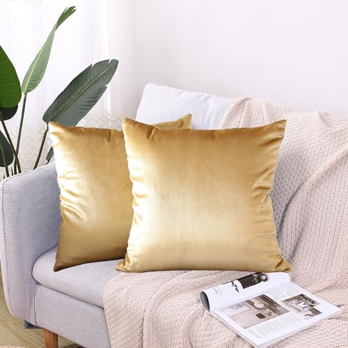 CXTAI Kissenbezug 40x40 cm (2er Set Samt) Kissenbezüge Sofakissen Dekokissen Kissenhülle Zierkissen - Gold