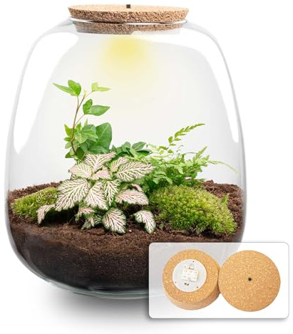 urbanjngl - urbanjngl.com - Emma - Hedera Pink - Flaschengarten mit Licht - DIY Terrarium mit Pflanzen im Glas - Ø 23 cm ↑ 25 cm