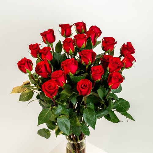 eFIORI Mazzo di 24 Rose Rosse Vere, Dedica Personalizzata e Consegna Fiori a Domicilio - Bouquet di Rose Fresche a Calice Grande - Idea Regalo per lei - Centrotavola e Decorazioni interni