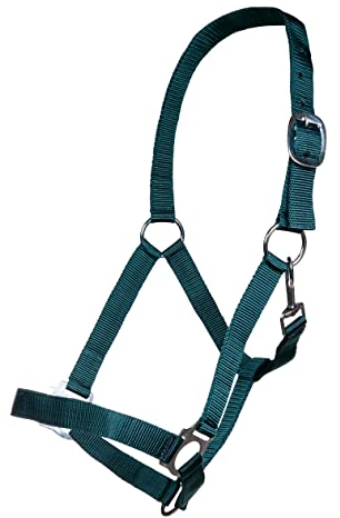 Posten Brisbane Halfter dunkelgrün Pony