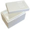 Thermobox, Styroporbox für Essen, Getränke & temperaturempfindliche Ware, Isolierbox aus Styropor mit Deckel, Maße: 27 x 16,5 x 16,5 cm, Wandstärke: 3 cm, Volumen: 7,3 L