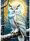 DPHERO DIY Eule Diamant Painting Bilder für Erwachsene Anfänger,5D Fantasie Eule Diamond Painting Set,DIY Mond Runde Steine Diamant Kunst Kits, Diamant Painting für Zuhause Dekor 30x40 cm
