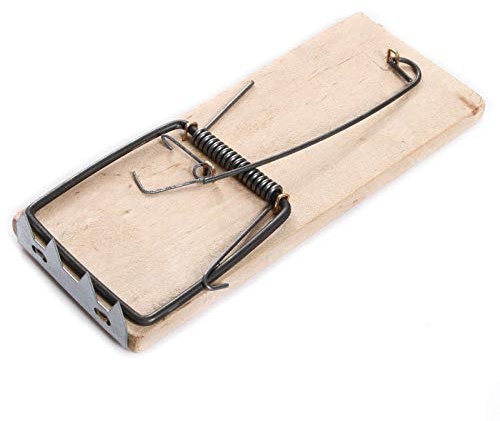 rg-vertrieb 2X Rattenfalle Schlagfalle Ratte Rattenfallen aus Holz Köderfalle Schnappfalle 170mm Falle