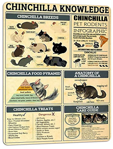 30 x 20 cm Badezimmerschild Chinchilla Wissen Dekor Poster Lustige Wanddekoration Retro Wandschild für Wand, Badezimmer, Zuhause