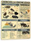 30 x 20 cm Badezimmerschild Chinchilla Wissen Dekor Poster Lustige Wanddekoration Retro Wandschild für Wand, Badezimmer, Zuhause