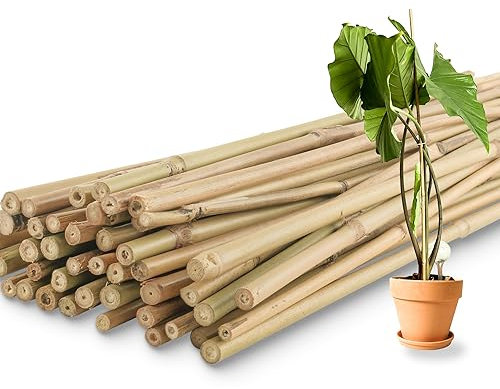 Bambus-Pflanzstäbe für Innen- und Außenbereich, Gartenpflanzenstangen, Stangen für Tomaten, Gemüse, Bohnen, Bäume, Topfpflanzen, Kletterpflanzen, 50 Stück
