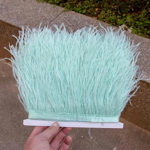 3.3 ft, 16.4 ft, 32.8 ft, plumas de avestruz esponjosas, flecos, 3.1 – 3.9 in, decoración de fiesta de boda, cinta de plumas para vestido, ropa, costura, manualidades, color verde menta, 33 – 16.4 f