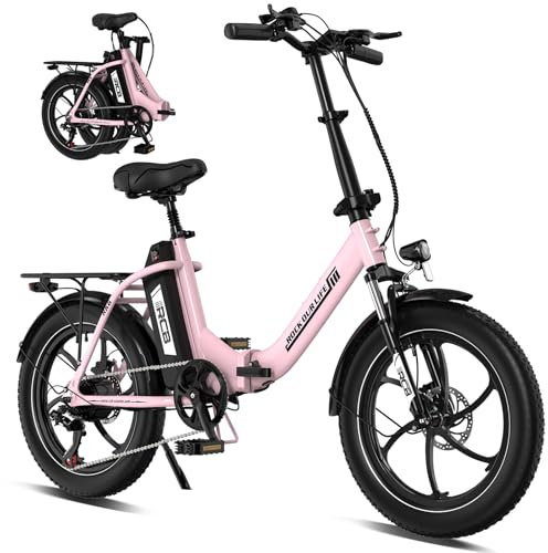 RCB RK6 20 E Bike für Erwachsene, 250W Motor 36V 15.6Ah Akku, 7-Gang,Breitreifen Klappbares E-Bike, Leichtes Elektrofahrrad für Stadtpendler