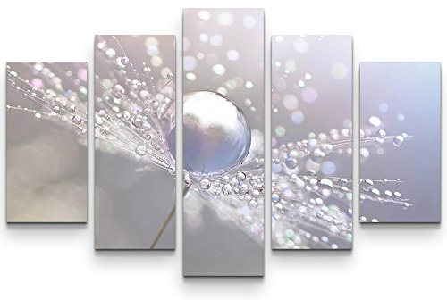 Paul Sinus Art Leinwandbilder | Bilder Leinwand 160x100cm Pusteblume mit Wassertropfen