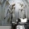 ManFototapete Fototapete 3D Effekt Relief Engel Skulptur Wandbild Wohnzimmer Schlafzimmer Fototapete 3D Wandtapete Im Europäischen Stil 350(W)X256(H)Cm