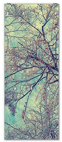 banjado® Wandgarderobe aus Echtglas/Design Garderobe 50 x 125 cm groß/Flurgarderobe mit 7 Haken/Beschreibbares Garderobenpaneel Motiv Zwischen Bäumen 8