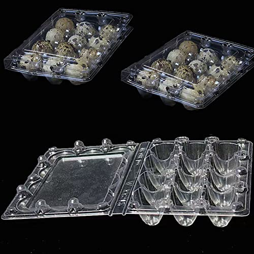50 Stück Wachtelei Schachteln Wachteln Eierschachteln 12 Gitter Kunststoff Eierschalen mit Deckel Transparente Wachteleierschachteln PVC Eier Aufbewahrungsbox für Wachteleier
