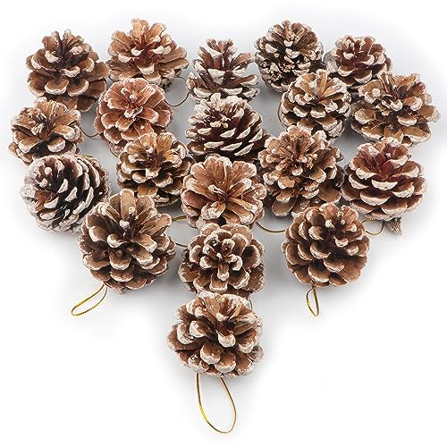 24 Pièces Pomme de Pin Décoration Neige Blanc Pommes Pin Naturelles Séchées Christmas Noël Mini Cônes de Pin Suspendus Bricolage Artisanat fête Guirlande Arbre de Noël Fournitures de Fête Décoration