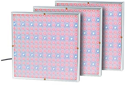 Lunartec Profi LED-Pflanzen-Wachstums-leuchtpanels, 225 LEDs, 3er-Set