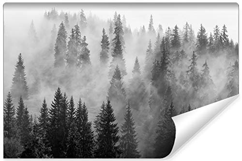 Wallepic Fototapete Wald Nebel 210 x 315 cm Vlies Wand Tapete Bäume Natur Schwarz-Weiß Vliestapete Wohnzimmer Schlafzimmer Bäume Natur Moderne Wandbild