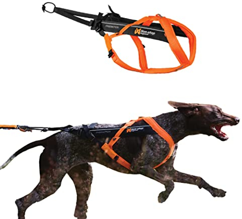 Non-stop dogwear Freemotion Harness 5.0 | Hunde-Geschirr für alle Sportarten, Größe:Größe 7