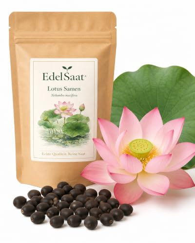EdelSaat® 30 Premium Lotus Samen – Nelumbo nucifera | Winterhart | Hohe Keimkraft | Für Teich, Miniteich, Wasserschale & Pflanzkübel | Exotische Lotusblumen | Einfache Anzucht Indoor & Outdoor