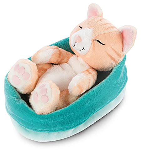 NICI 47145 Kuscheltier blau-grünem Körbchen 16 cm – Sleeping Kitties Plüschtier Mädchen, Jungen & Babys – Stofftier Katze zum Kuscheln, Spielen & Schlafen – Gemütliches Schmusetier, Braun