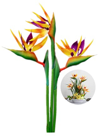Strelitzia Lot de 3 grands oiseaux de paradis 73,7 cm fleurs permanentes imitation plantes artificielles tropicales en caoutchouc souple PU, pour la maison, le