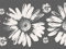 Dundee Deco DDAZBD9159 Peel and Stick Wallpaper Border - Floral Grey White Sunflowers Wall Border Retro Design, 15 ft x 7 in (4.57m x 17.78cm), Self Adhesive