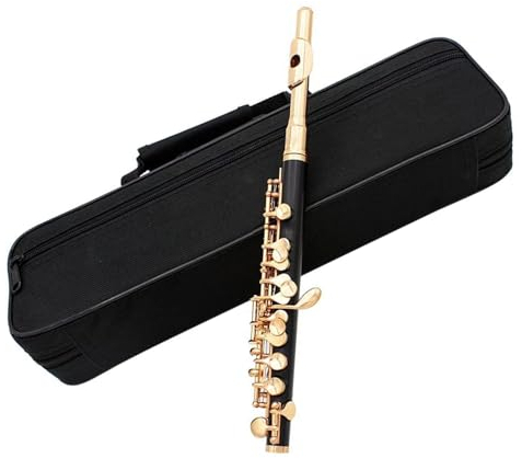 Querflöte Instrument Halbgroße Flöte, ABS-Harz, Kupfernickel, Vergoldete C-Ton-Piccolo Mit Poliertuch Und Etui